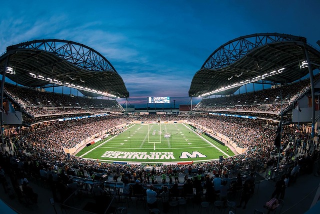 两队的比赛 两队的比赛