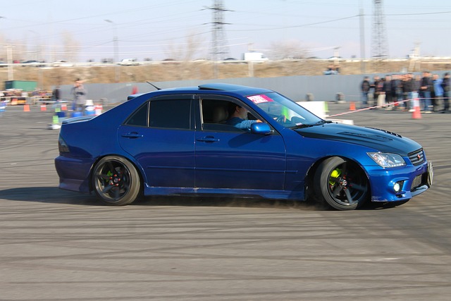 也许是为了 也许是为了