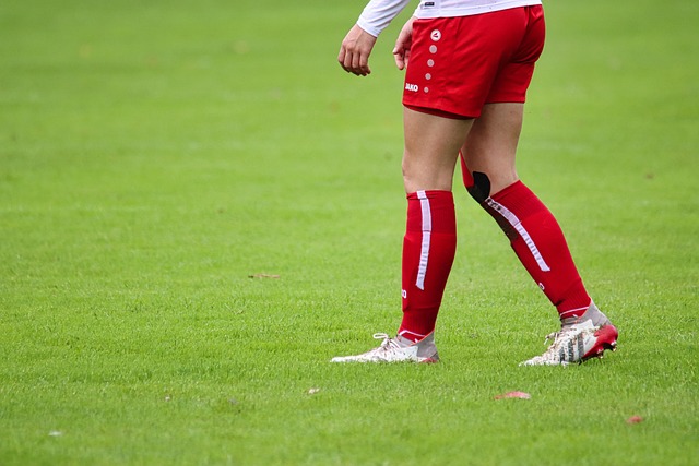 尽管莫兰特 尽管莫兰特