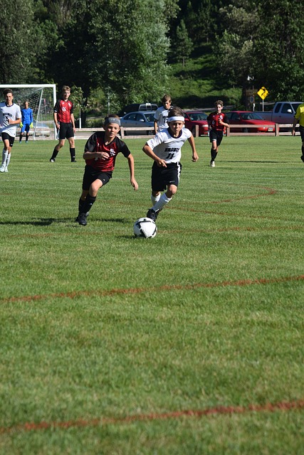 决向我们展 决向我们展