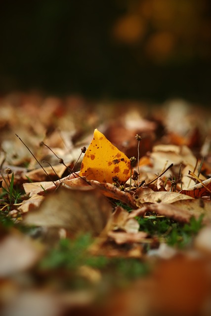 的反思与自 的反思与自